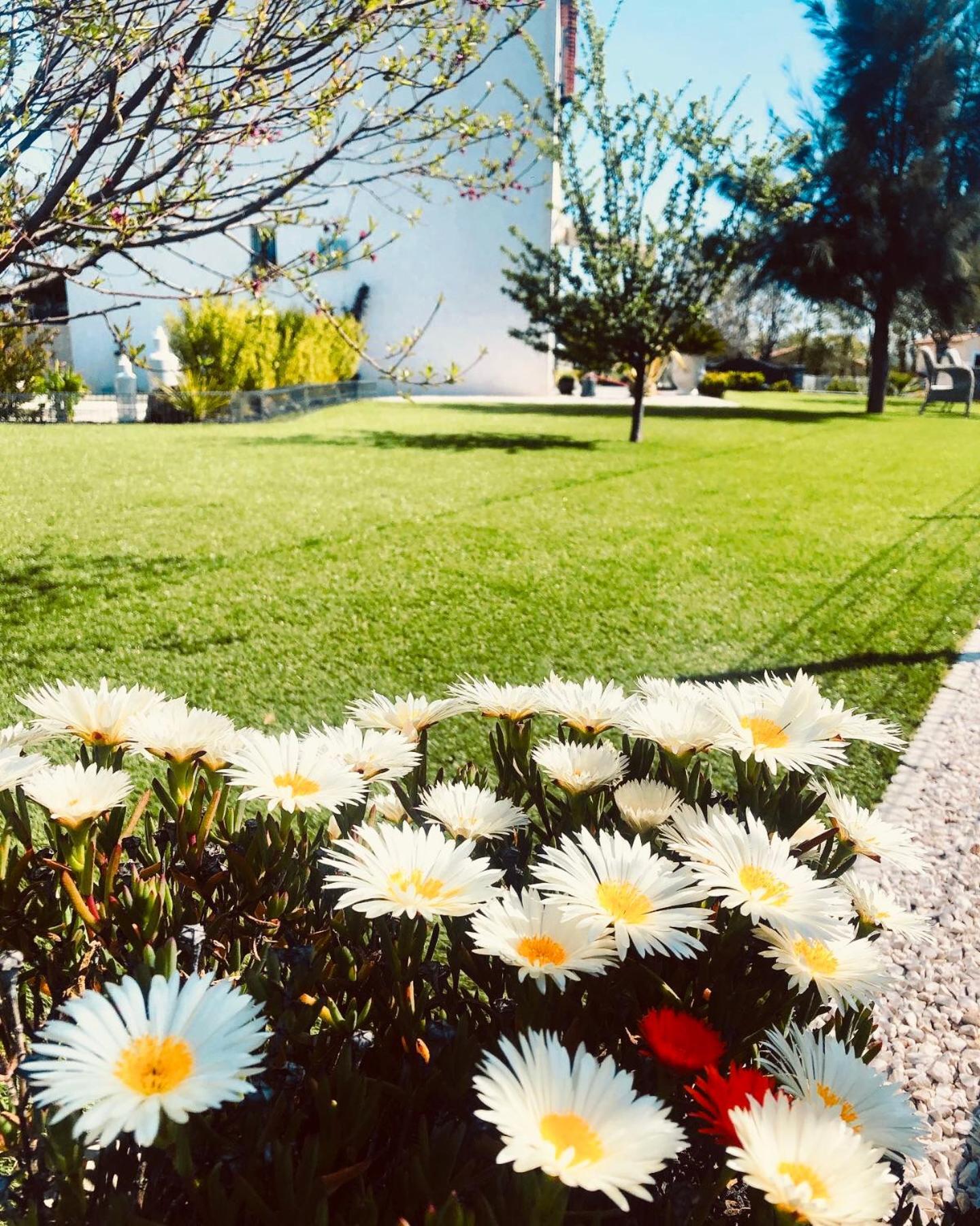 Villa Maolo 2 Roquebrune-sur Argens Exteriör bild